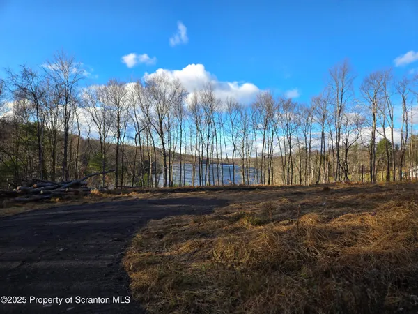 a view of a yard with a fountain