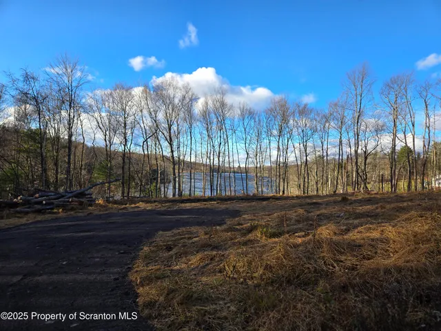 a view of a yard with a fountain