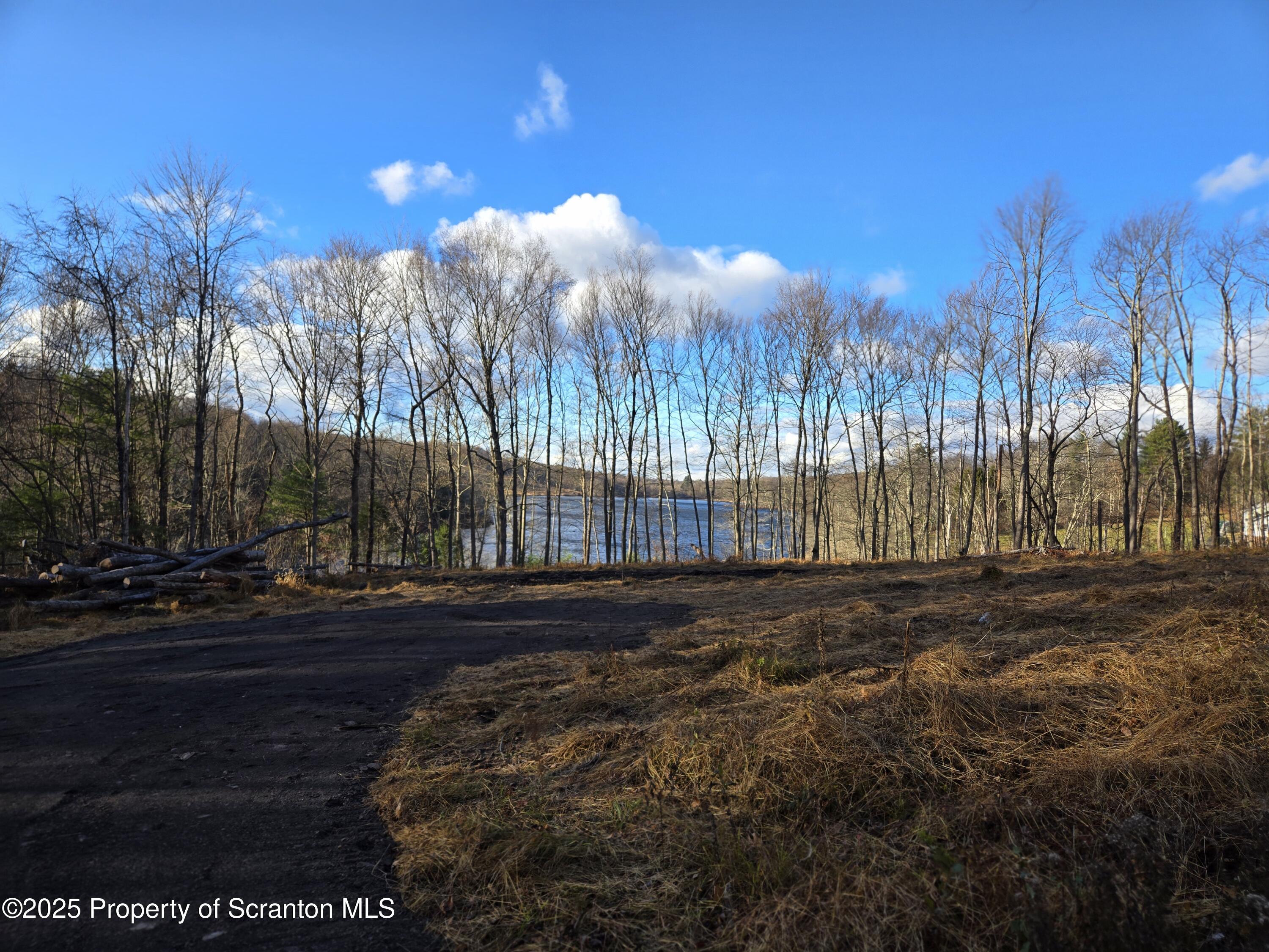29 North Sr Tunkhannock, PA 18657 - Photo 2 of 5 a view of a yard with a fountain