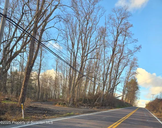 a view of a yard and trees