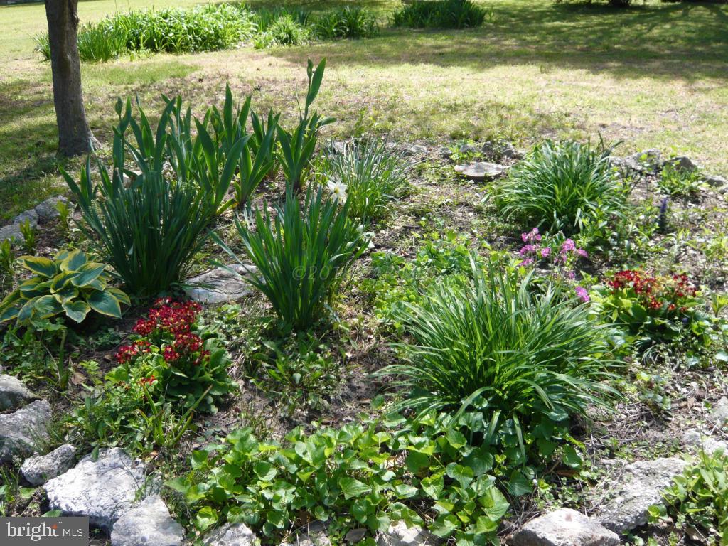 30543 Bennett Road Salisbury, MD 21804 - Photo 14 of 16 Gallery Image 14
