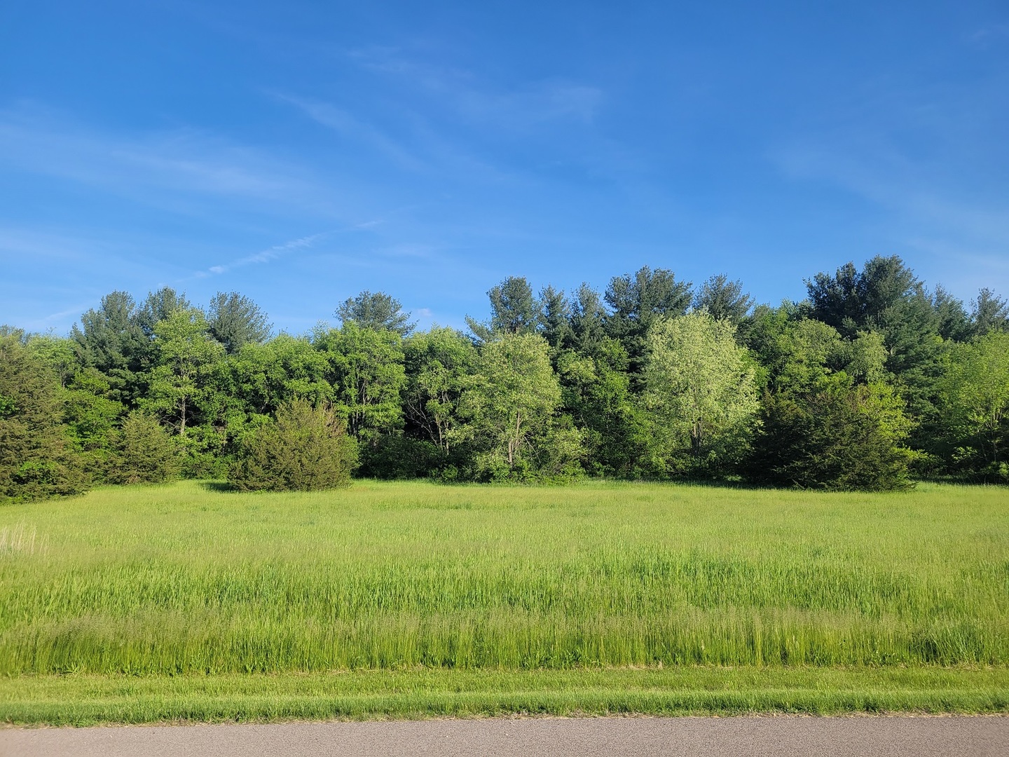 Lot 231 Riverside Drive Dixon, IL 61021 - Photo 1 of 5 a view of a field with a tree in the background