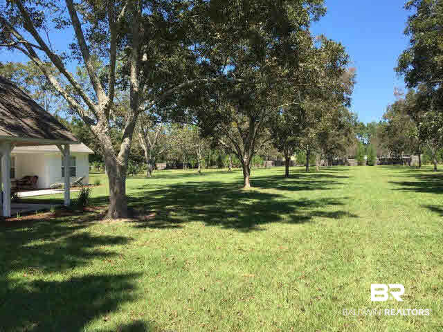 14730 Haber Road Elberta, AL 36530 - Photo 26 of 26 Pecan Trees