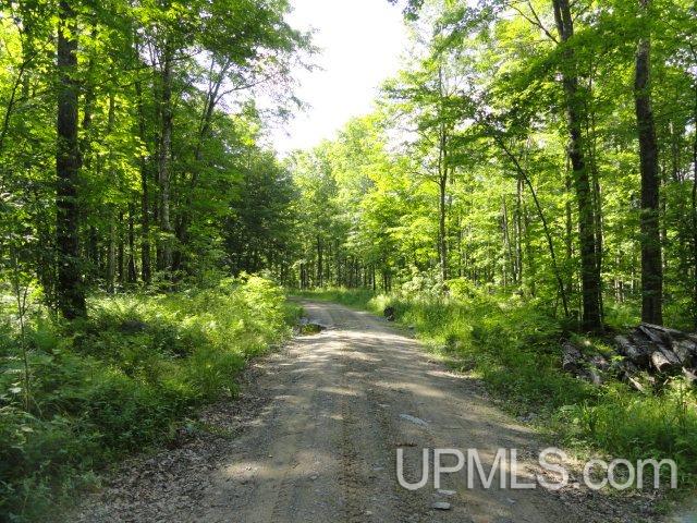 Tbd Norway Lake Road Sidnaw, MI 49961 - Photo 1 of 17
