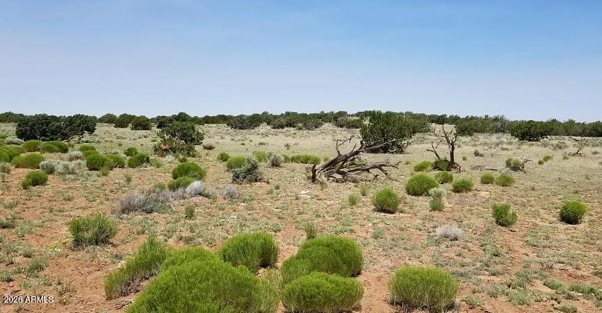 234 County Road St. Johns, AZ 85936 - Photo 7 of 13 234 County Rd N6371