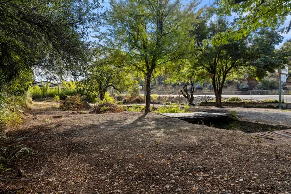 a view of a yard with large trees