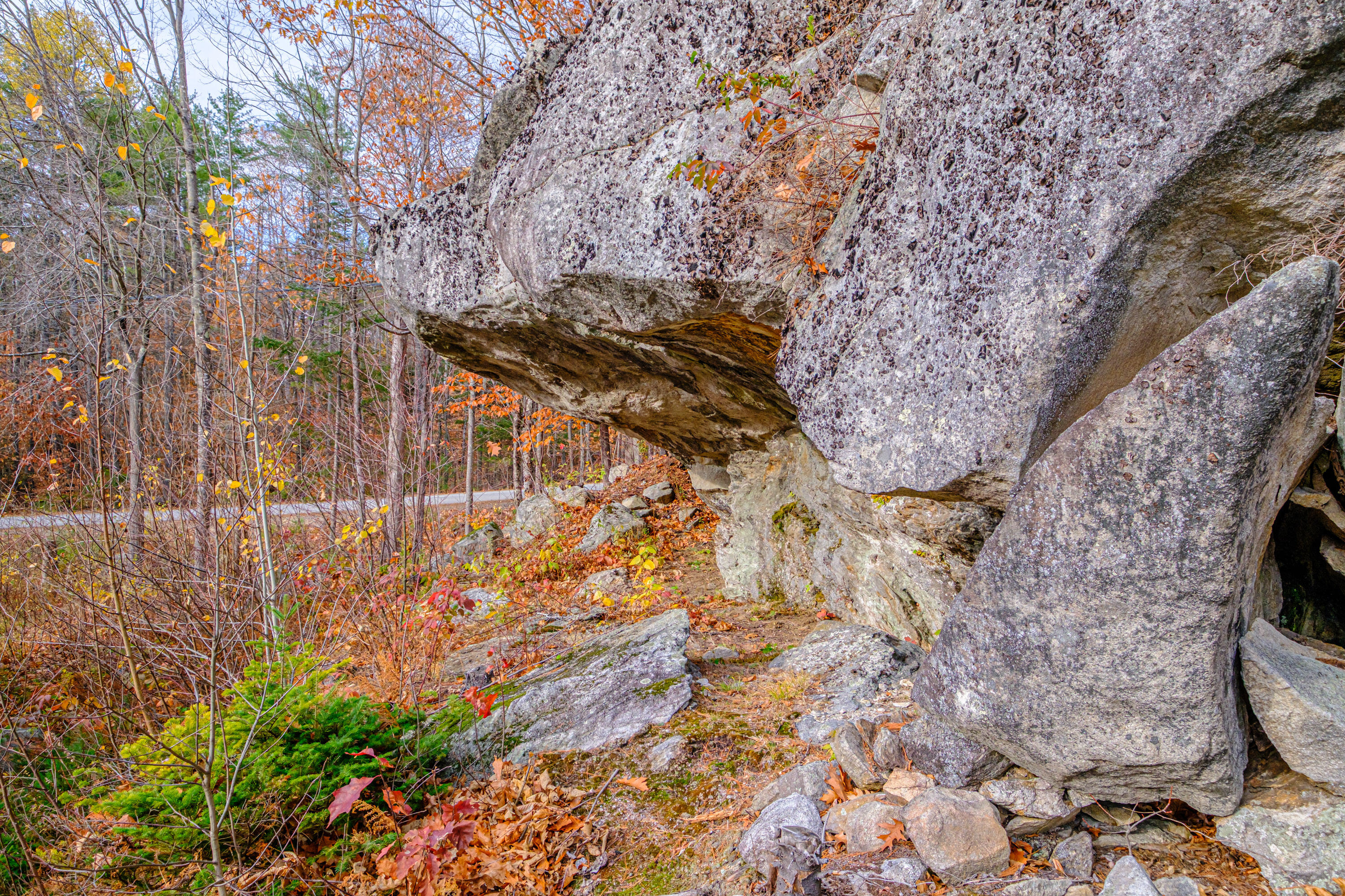304 Dunn Road Norway, ME 04268 - Photo 113 of 121 20251103gp-61110