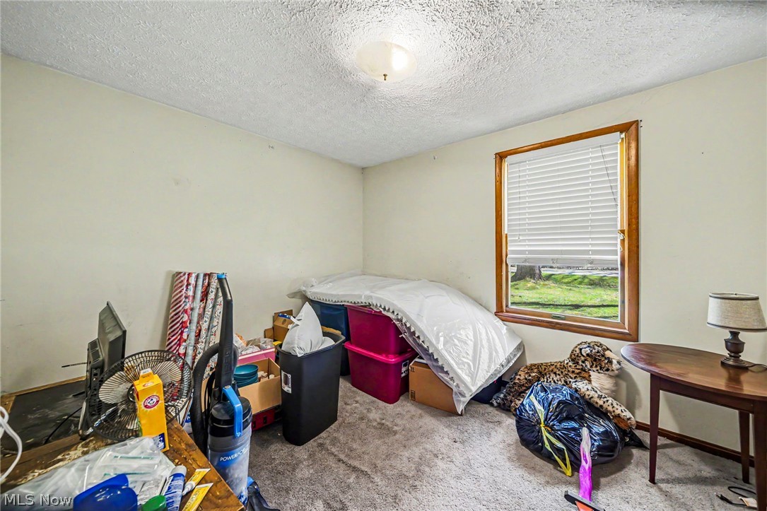 4761 Austin Road Geneva, OH 44041 - Photo 29 of 42