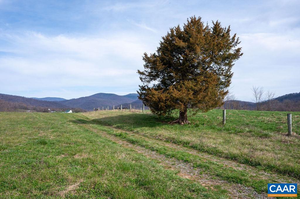 326 Quaker Run Road Madison, VA 22727 - Photo 49 of 58 Gallery Image 49
