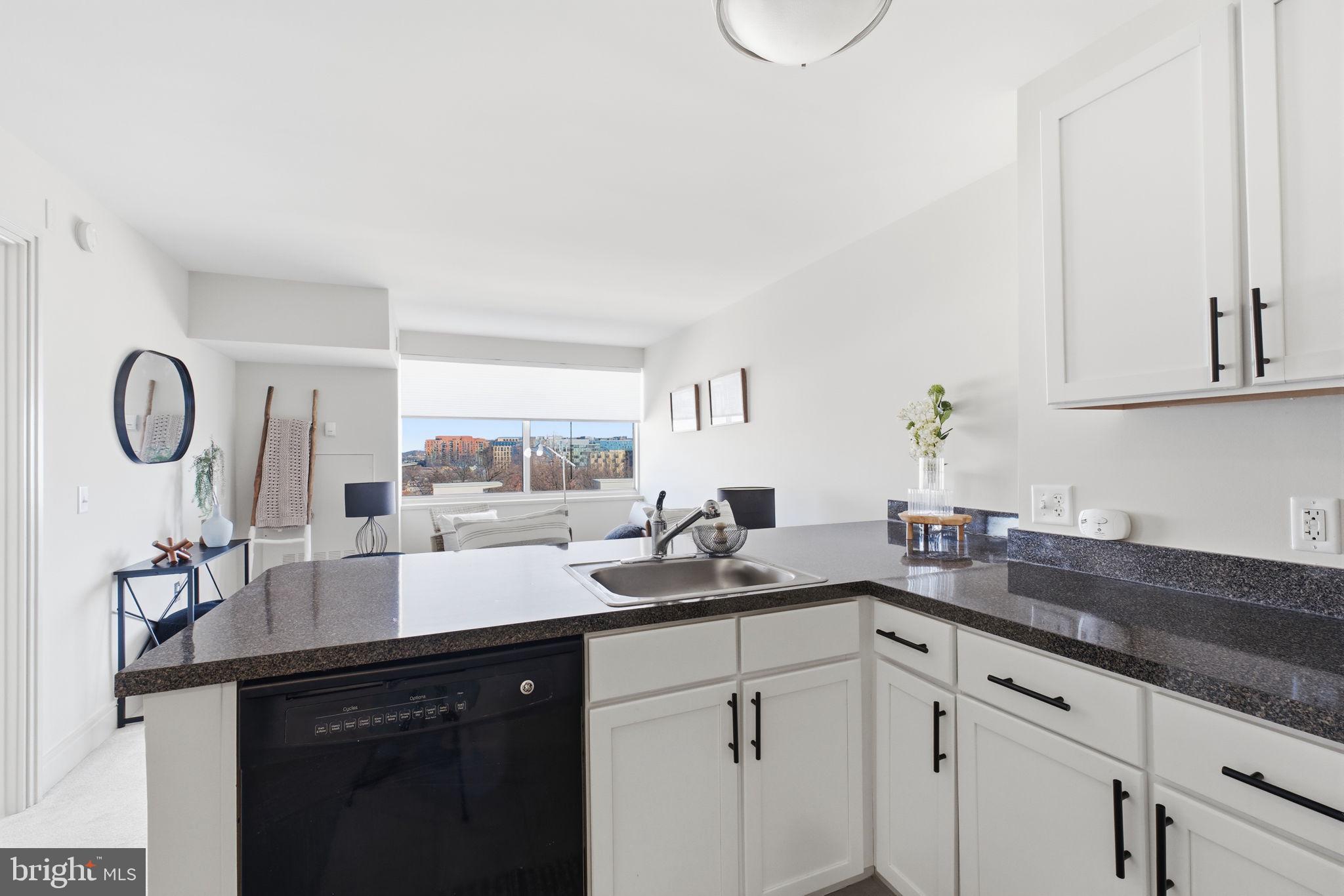 800 4th Street Southwest, Unit N717 Washington, DC 20024 - Photo 9 of 16