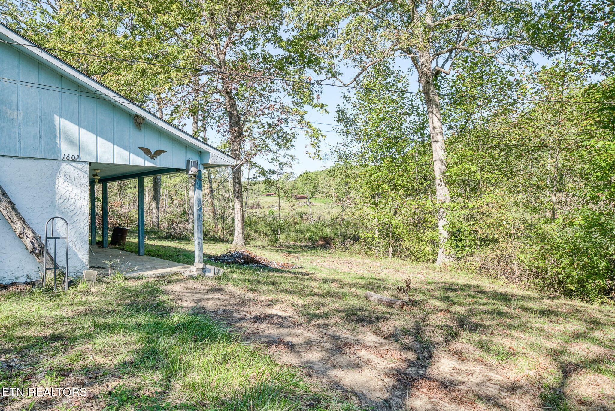1602 Hollis Poore Road Jamestown, TN 38556 - Photo 15 of 25 a view of backyard with green space