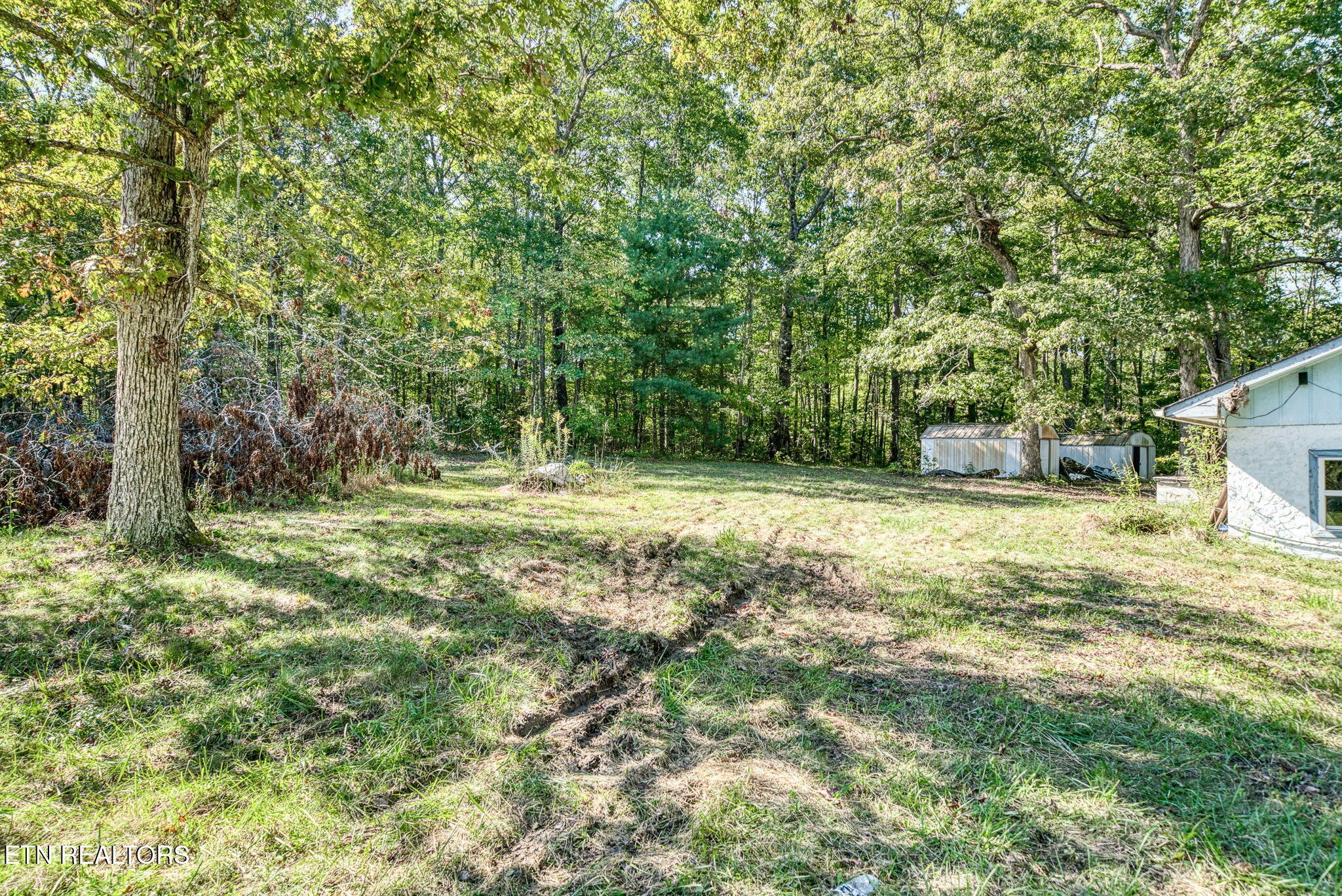 1602 Hollis Poore Road Jamestown, TN 38556 - Photo 17 of 25 a backyard of a house with lots of green space and fountain