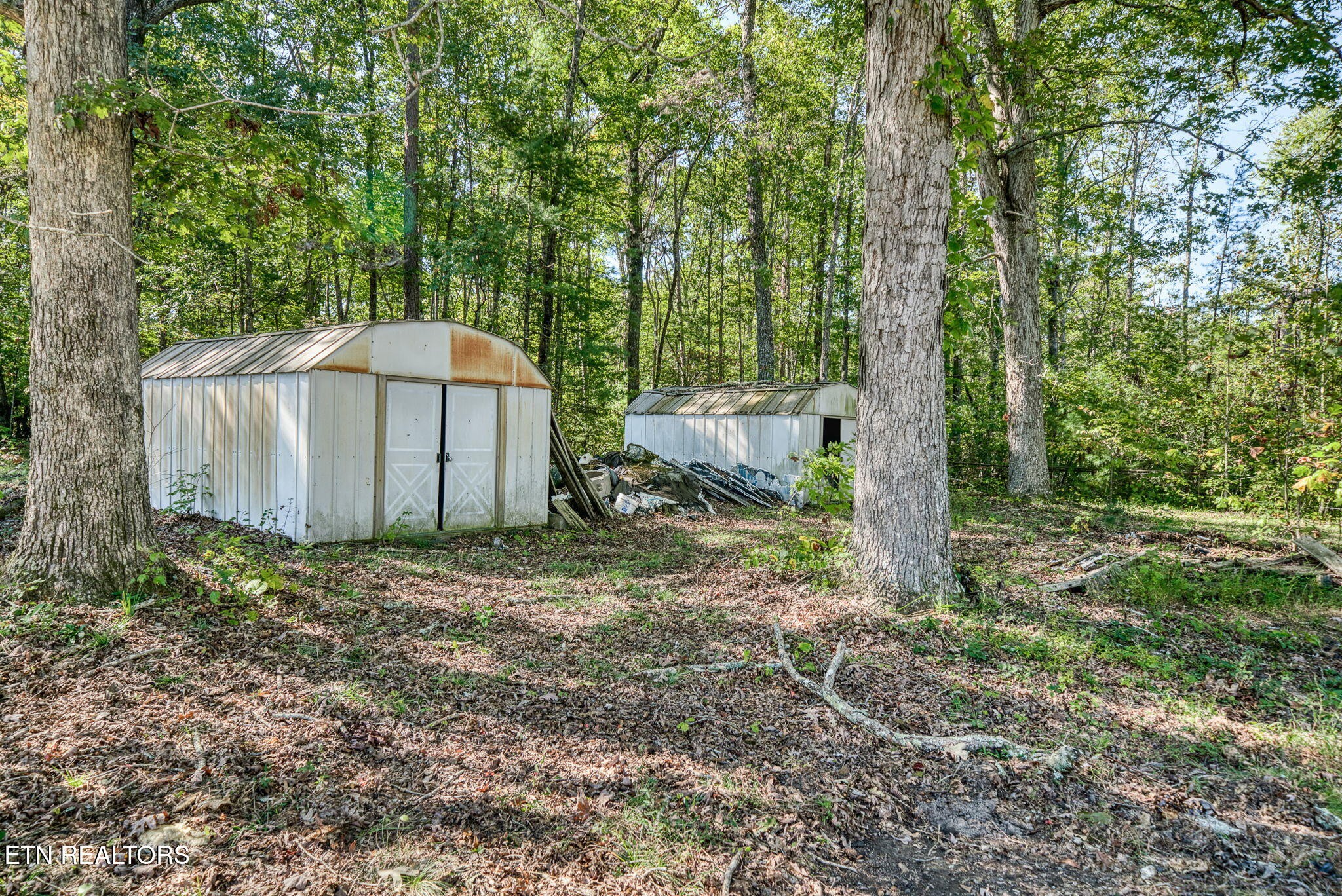 1602 Hollis Poore Road Jamestown, TN 38556 - Photo 19 of 25 a house is sitting in middle of the forest