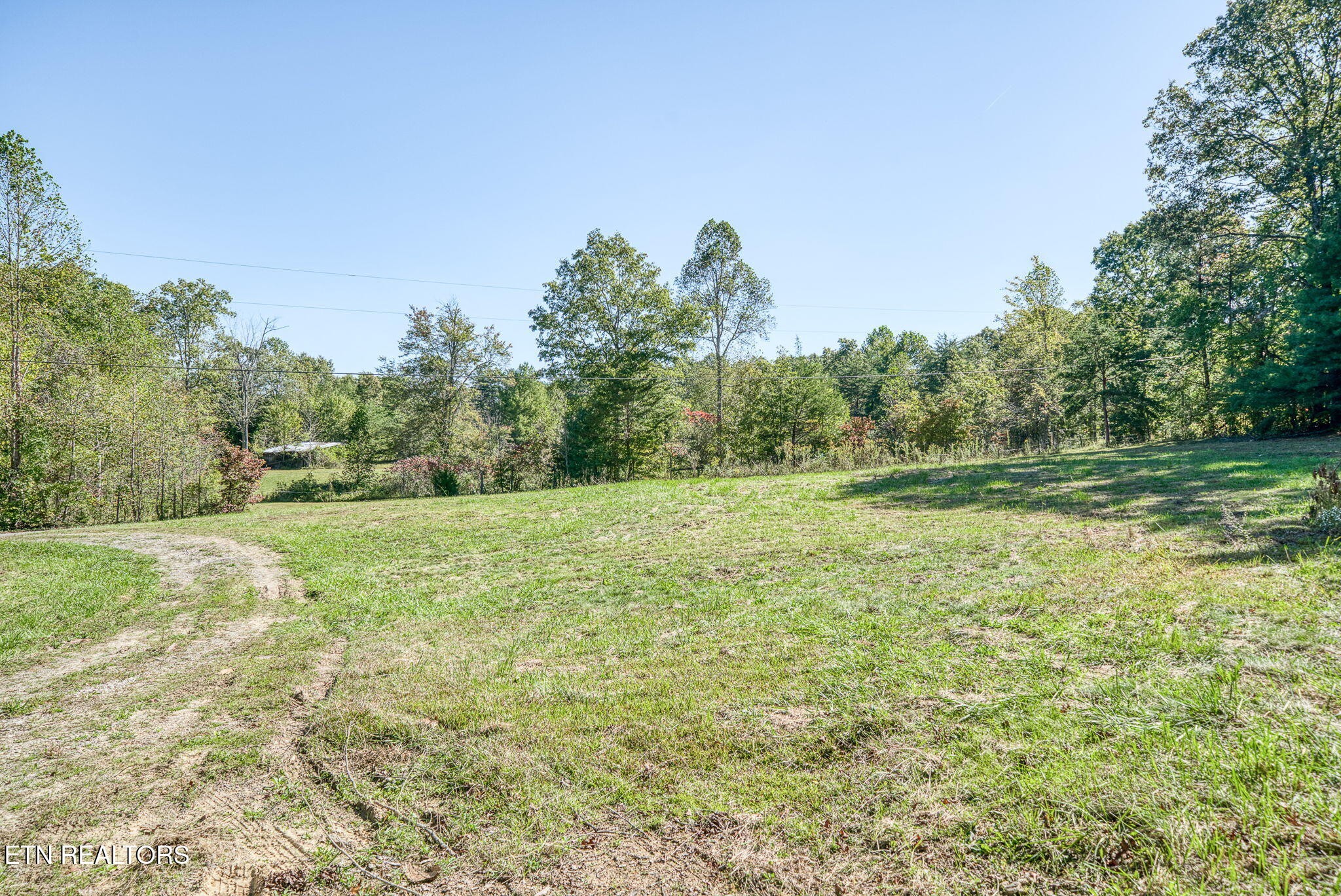 1602 Hollis Poore Road Jamestown, TN 38556 - Photo 21 of 25 a view of a field with trees in the background