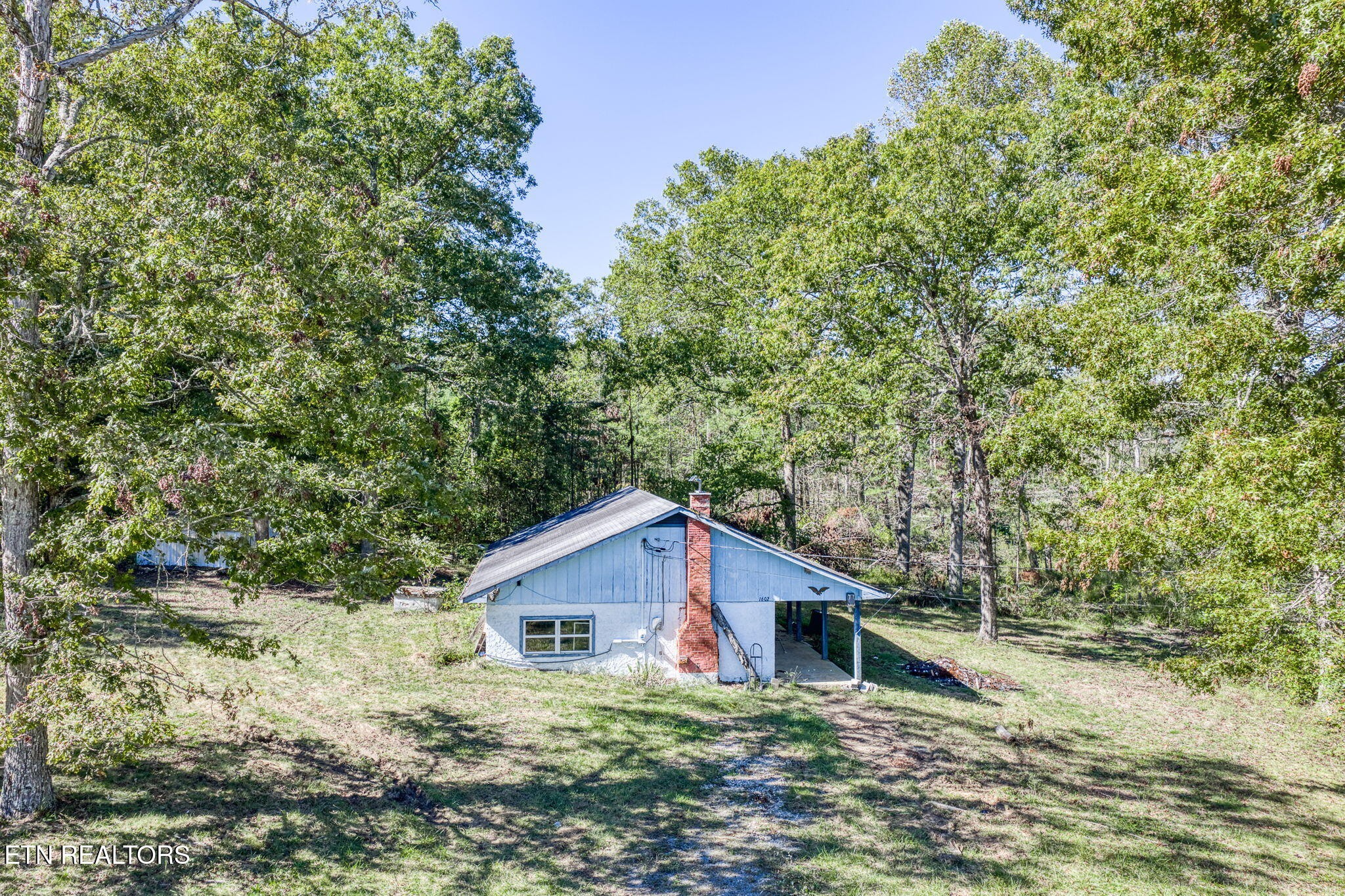 1602 Hollis Poore Road Jamestown, TN 38556 - Photo 22 of 25 a large tree in front of a house