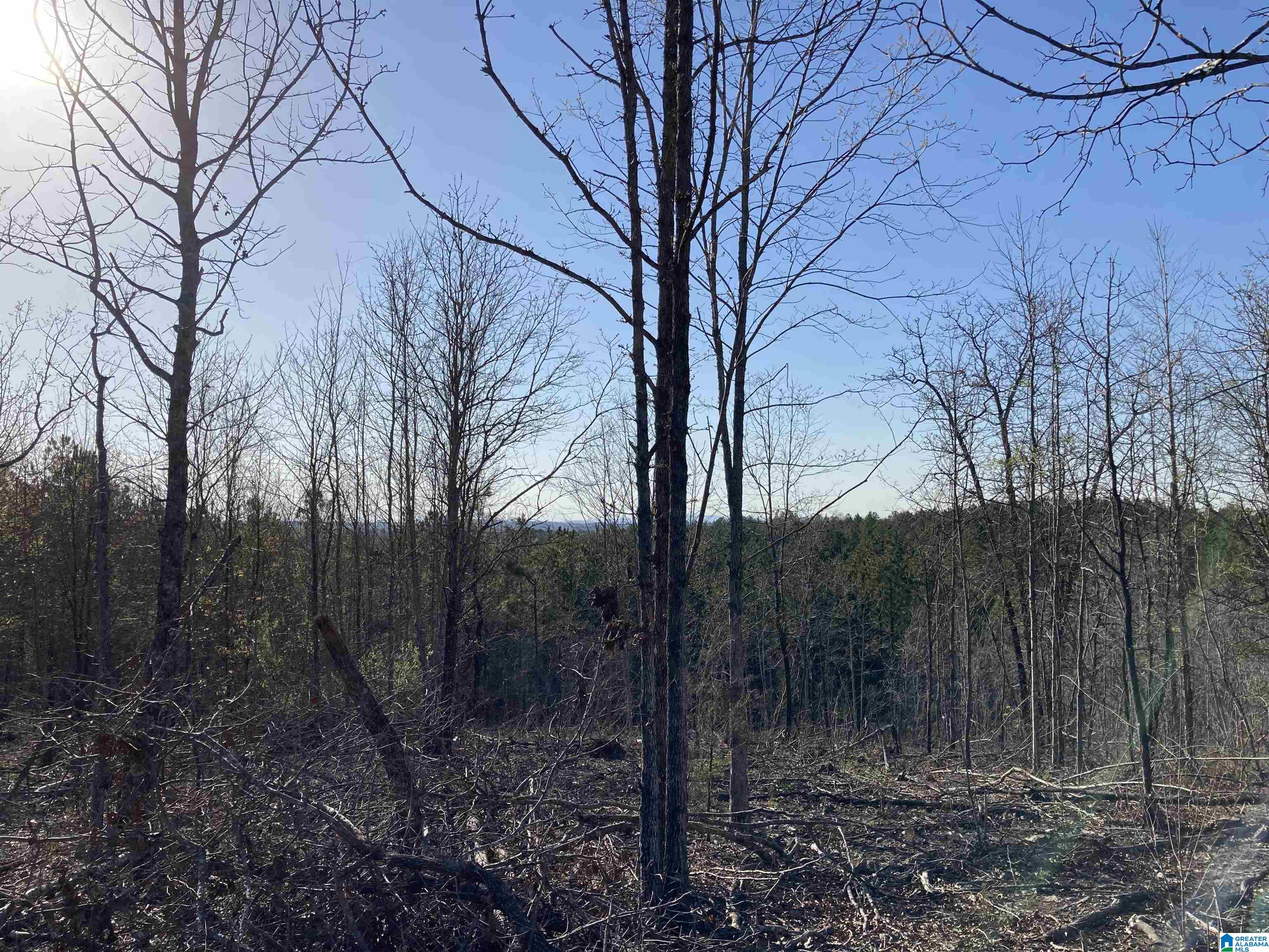 0 Jackson Trace Road, Unit 4 1 Talladega, AL 35160 - Photo 7 of 27
