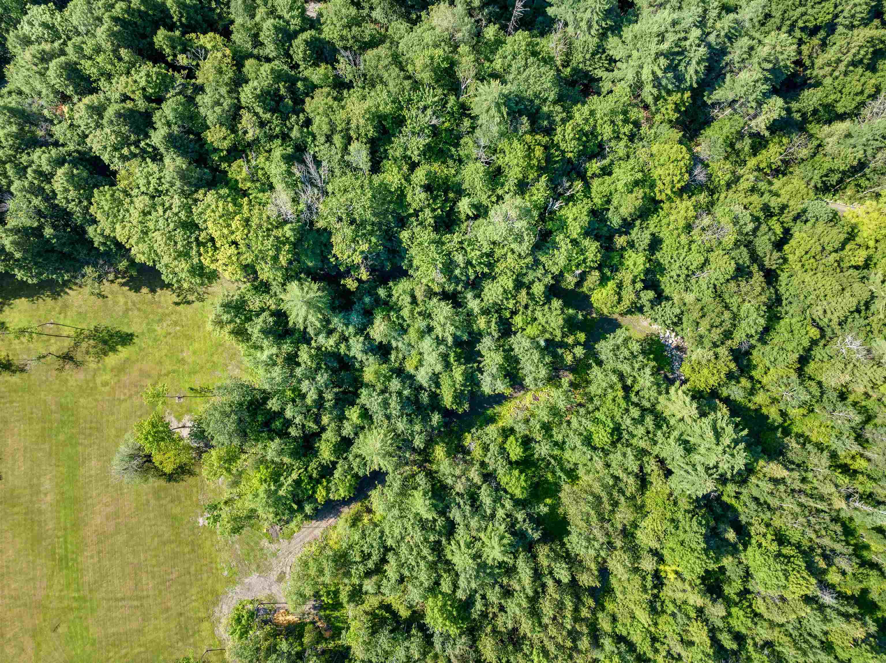 0 Middle Road, Unit 1 AND 2 Graniteville, VT 05654 - Photo 7 of 29 Gallery Image 7