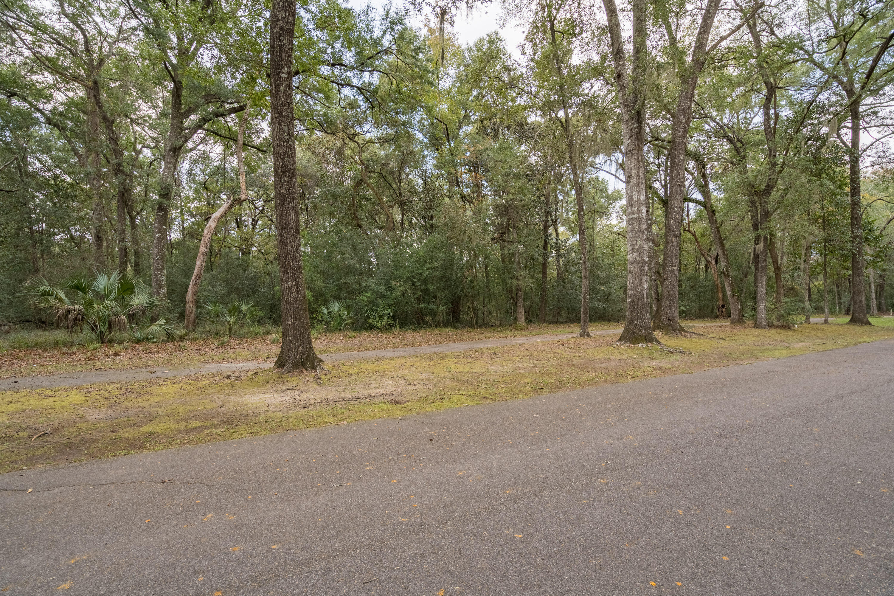 207 Bull Point Drive Seabrook, SC 29940 - Photo 5 of 35 207 Bull Point-2