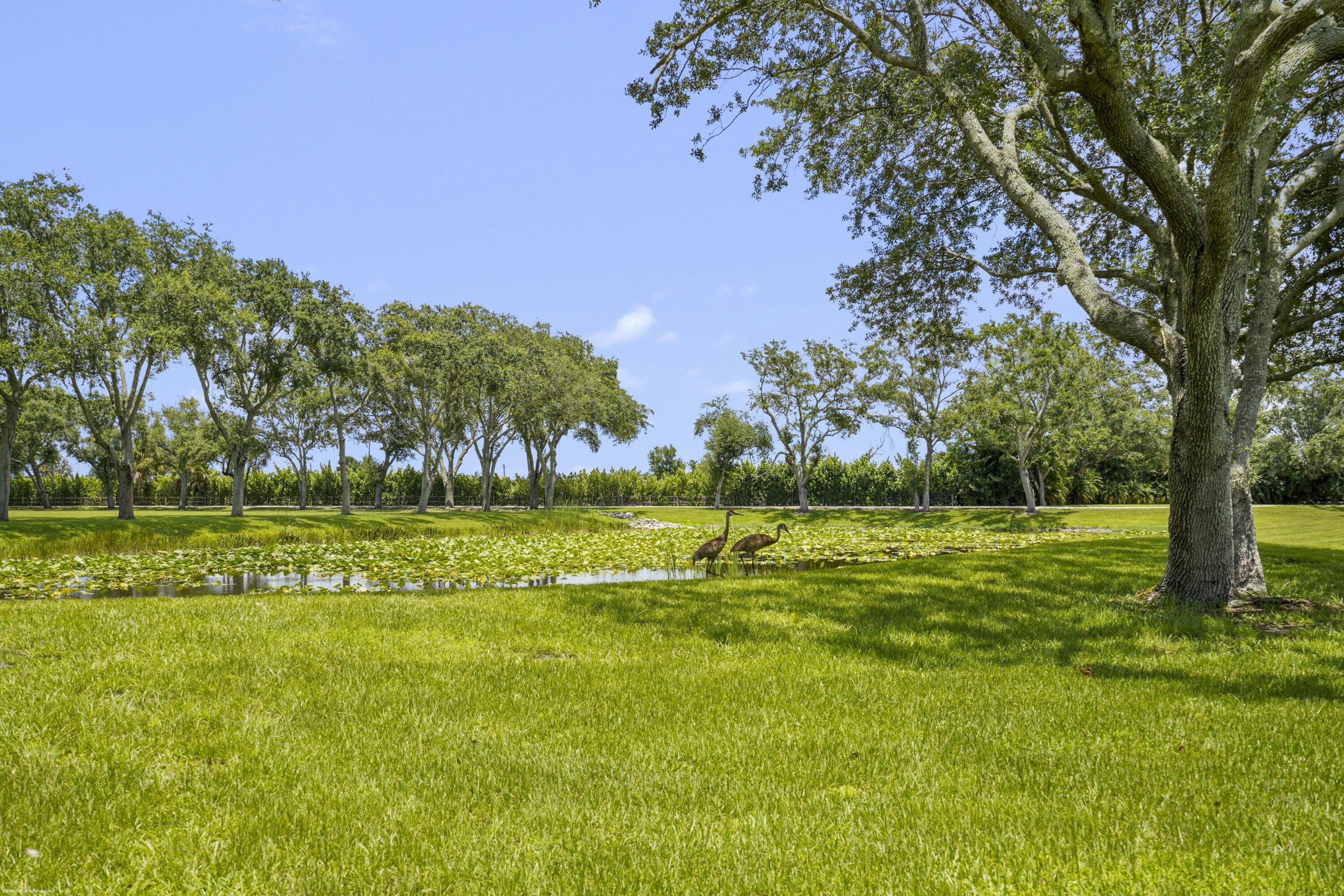 16451 Norris Road Wellington, FL 33470 - Photo 75 of 91 16451 Norris Rd 095