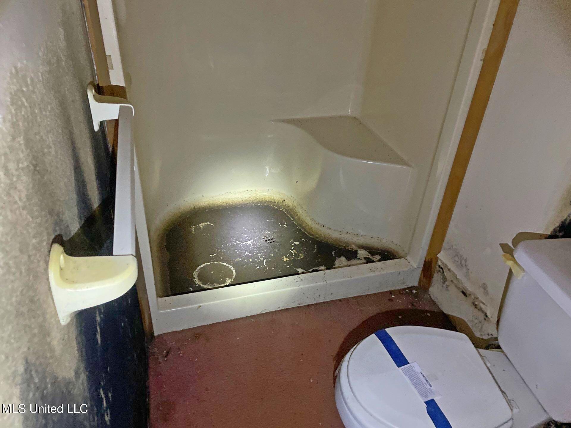 809 Cotton Boulevard Carthage, MS 39051 - Photo 30 of 38 437-Oct 15 2025 02_29pm-a9X9