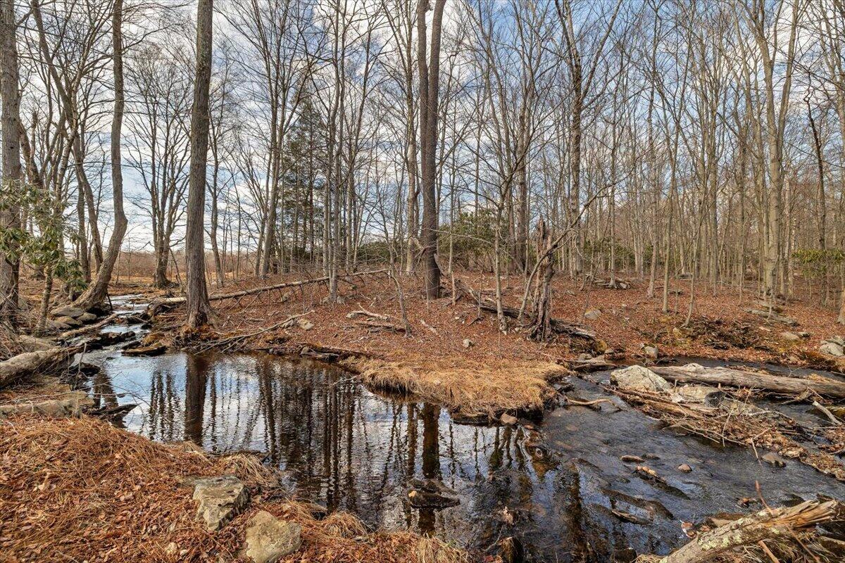 165 Lake In The Clouds Road Canadensis, PA 18325 - Photo 8 of 65 Babbling Brook in Back