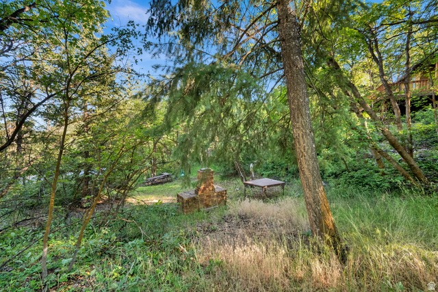 1234 Maple Lane, Unit 123 Midway, UT 84049 - Photo 17 of 19 Wooded grounds, over 1.5 acres, featuring mature trees and a brick-built outdoor fireplace