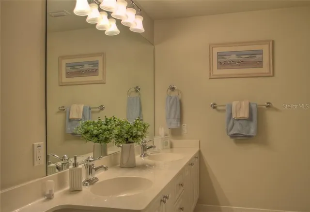 a bathroom with a sink a mirror and a potted plant