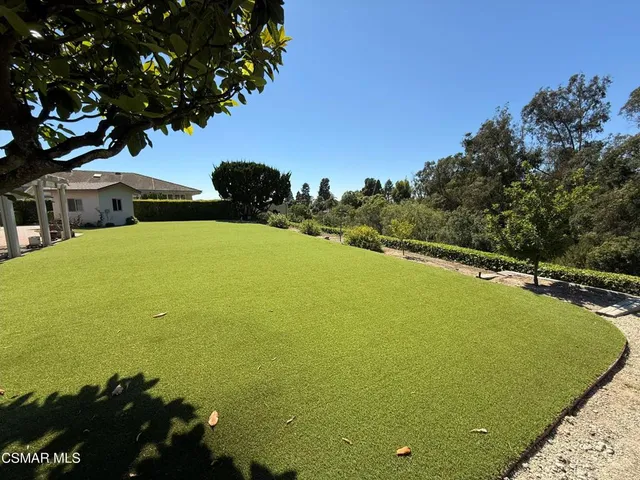 a view of a large tub and trees in the background