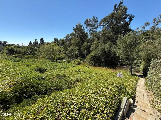 a view of a garden with trees