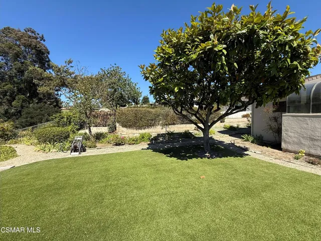a view of a garden with a tree