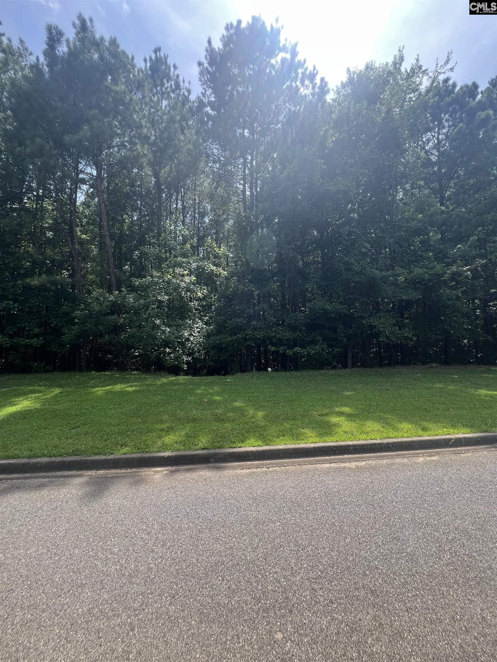290 Retreat Way Ridgeway, SC 29130 - Photo 12 of 13