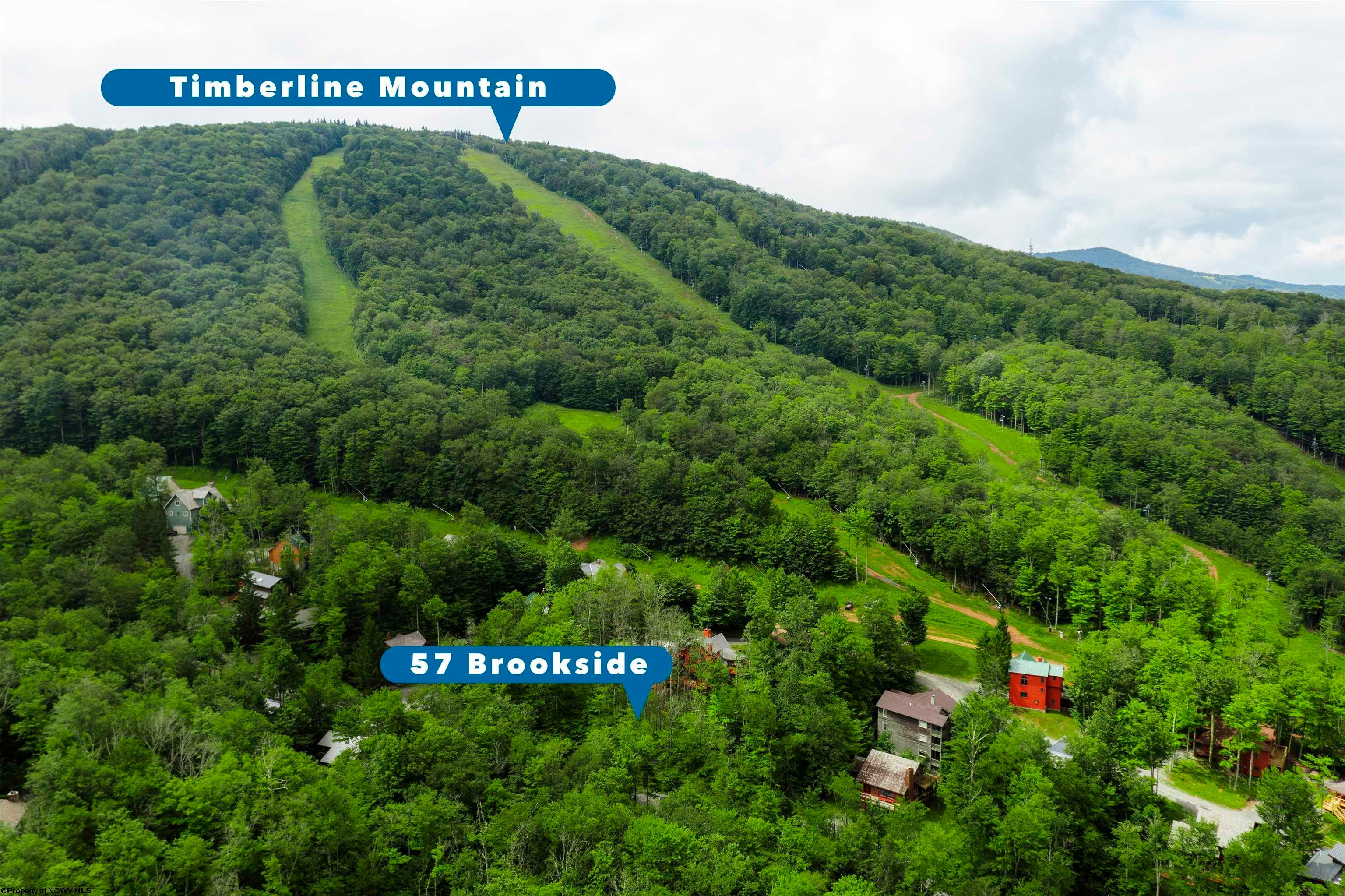 57 Brookside Road Davis, WV 26260 - Photo 3 of 9 Gallery Image 3