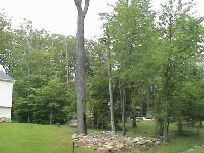 2720 Hickory Road Tobyhanna, PA 18466 - Photo 5 of 10 Gallery Image 5