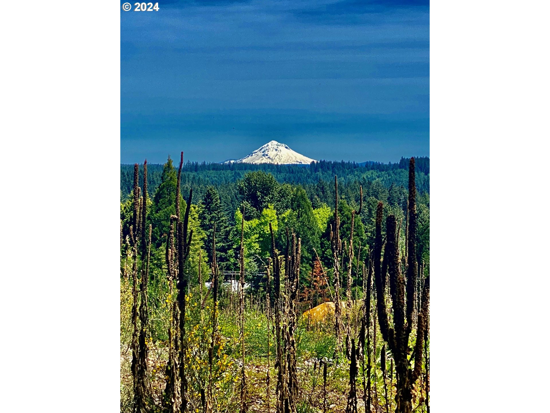 24473 South Beavercreek Road Beavercreek, OR 97004 - Photo 1 of 15 Gallery Image 1