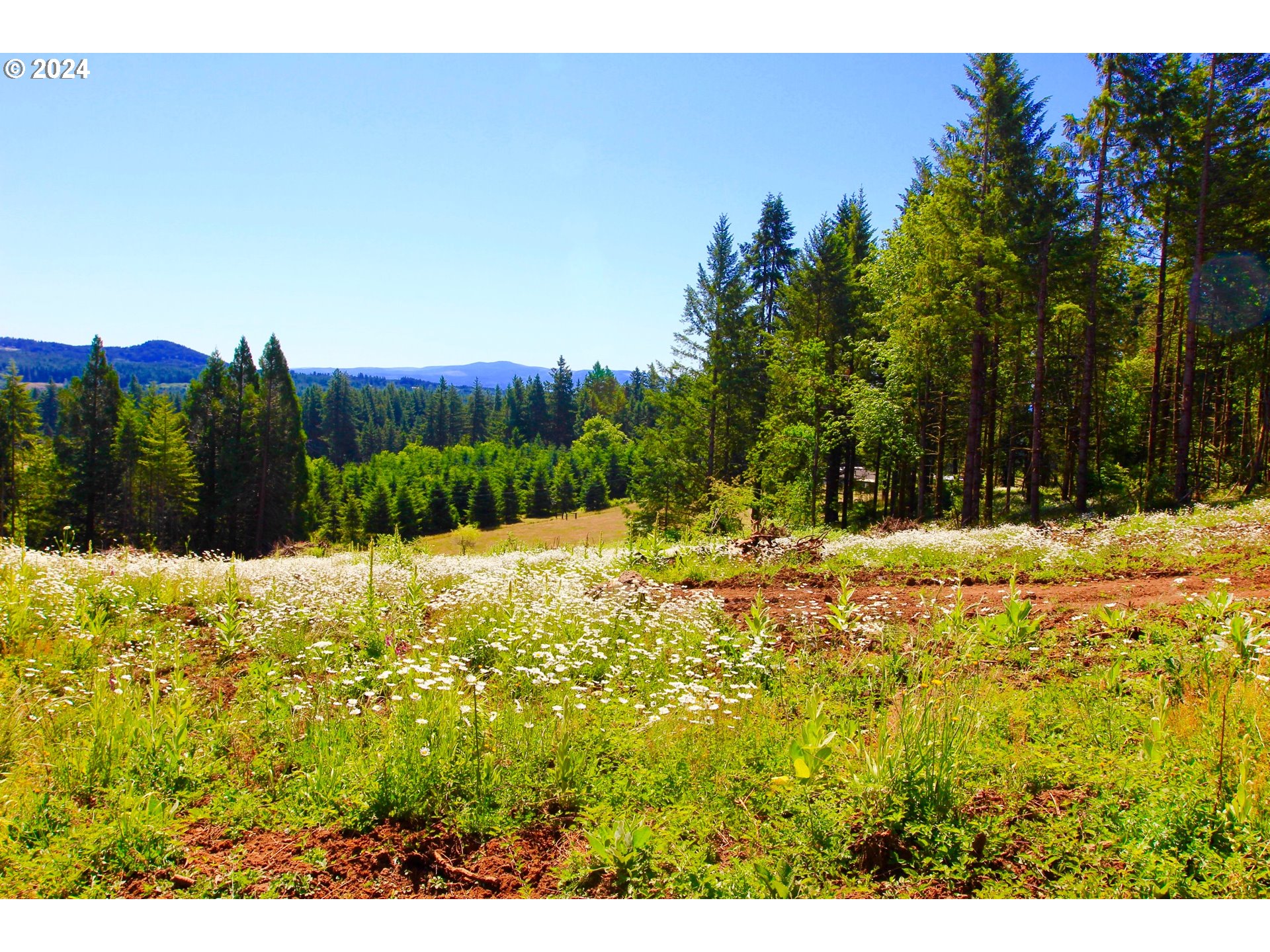 24473 South Beavercreek Road Beavercreek, OR 97004 - Photo 11 of 15 Gallery Image 11