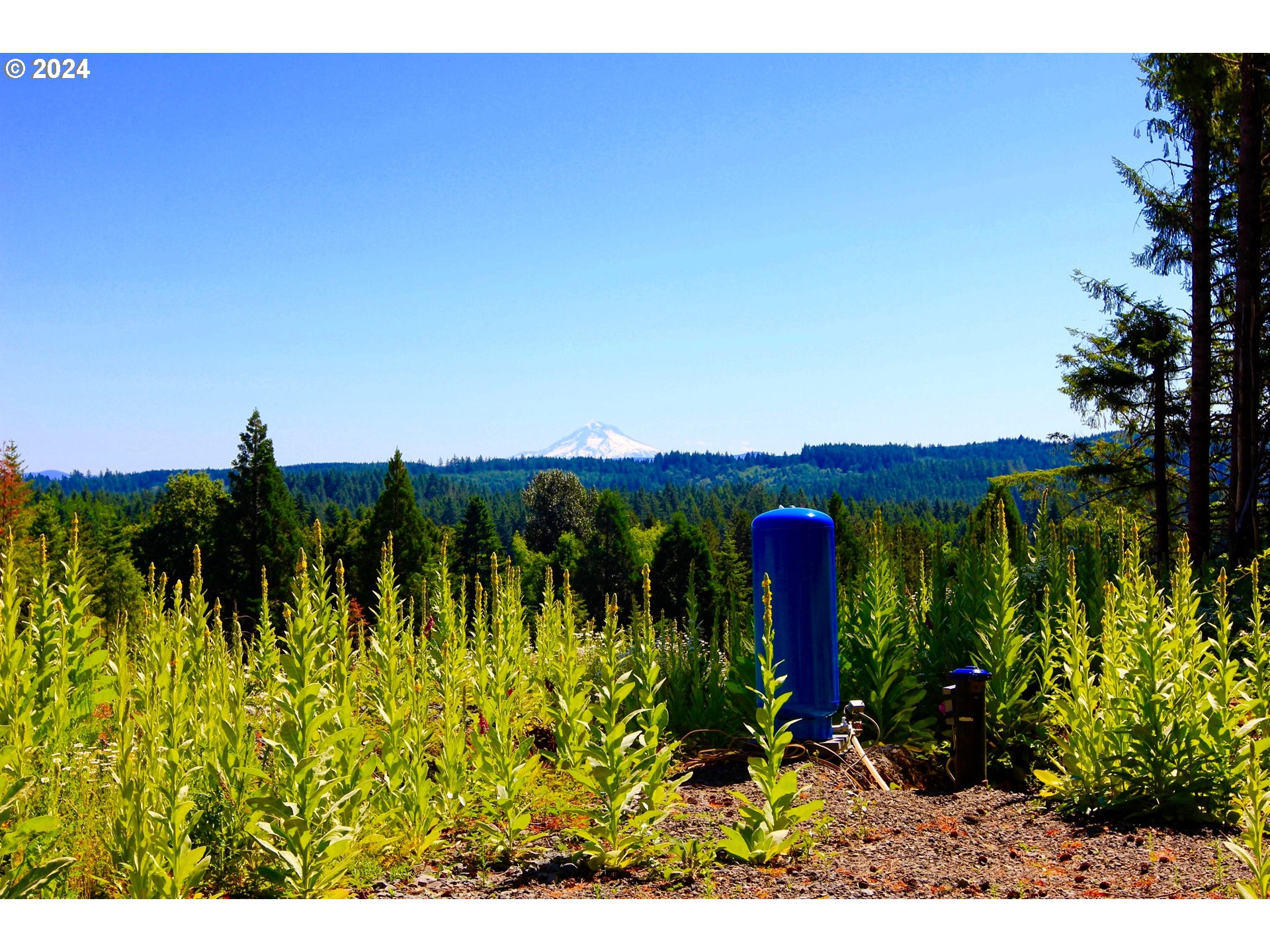 24473 South Beavercreek Road Beavercreek, OR 97004 - Photo 2 of 15 Gallery Image 2