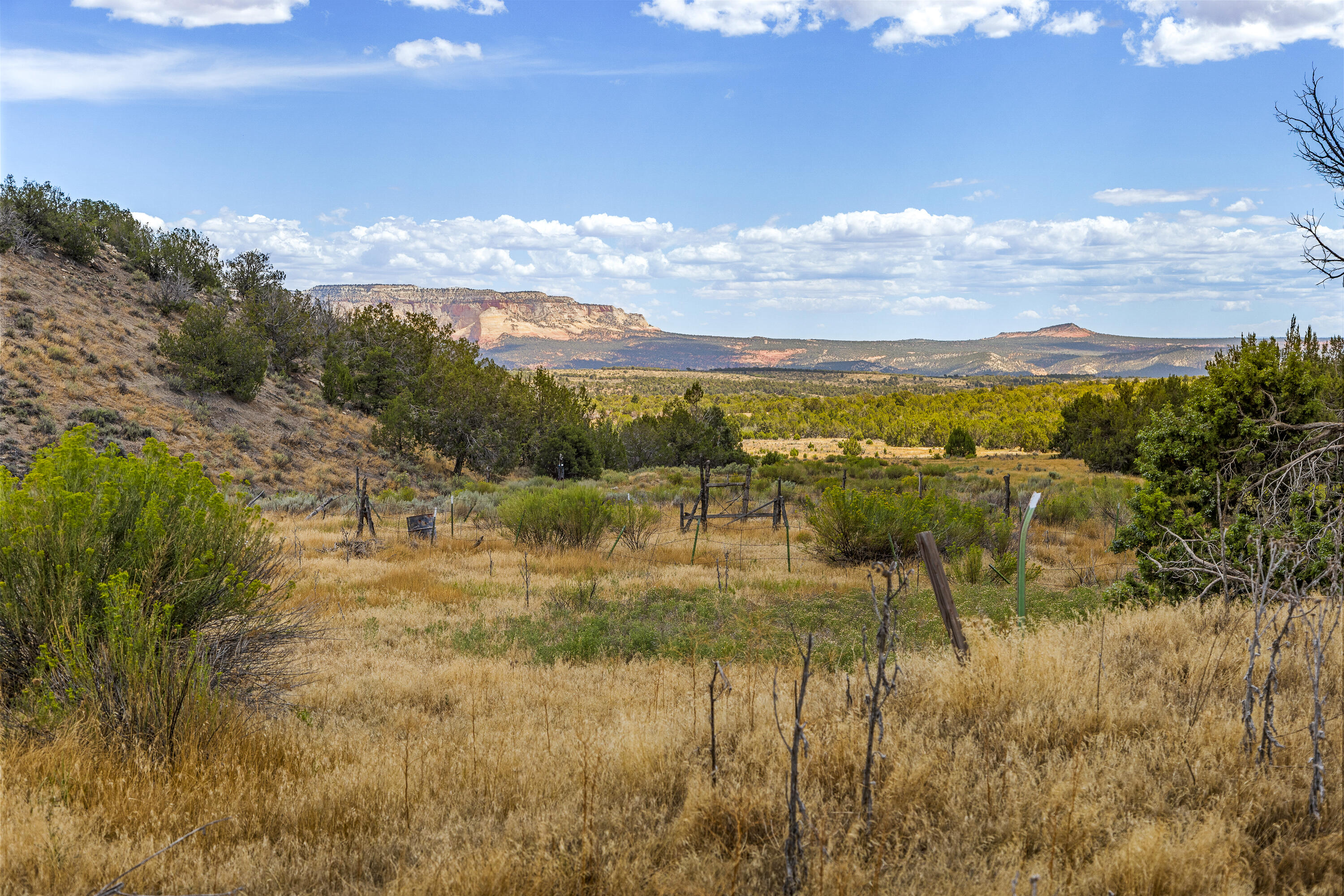 Rusty Nail Ranch Mount Carmel, UT 84755 - Photo 13 of 25 Meadow and interior fence line looking west toward East Zion. Open grazeable ground within the pinyon-juniper