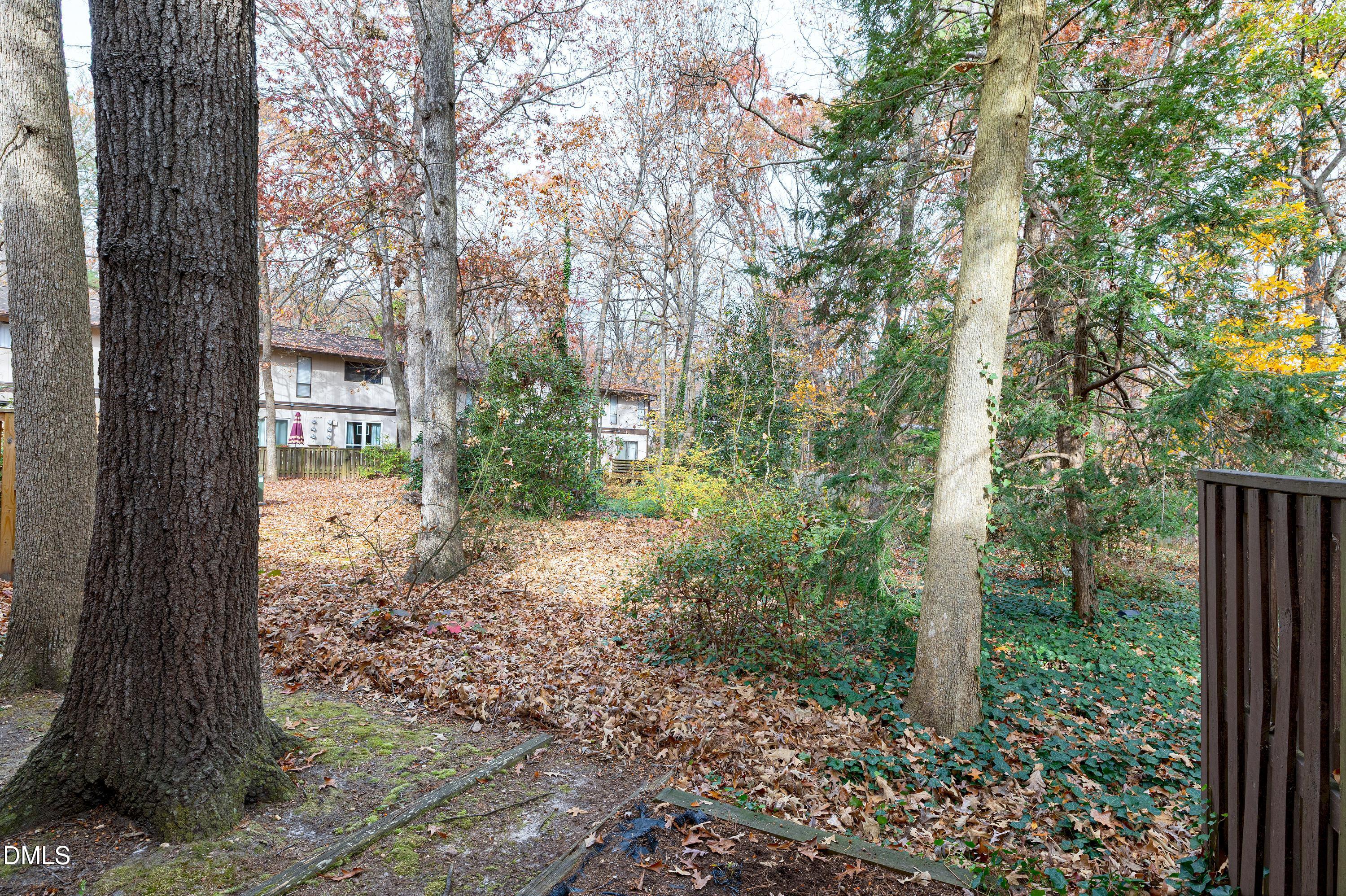 3905 Wendy Lane Raleigh, NC 27606 - Photo 40 of 42 a view of a yard with plants and large trees