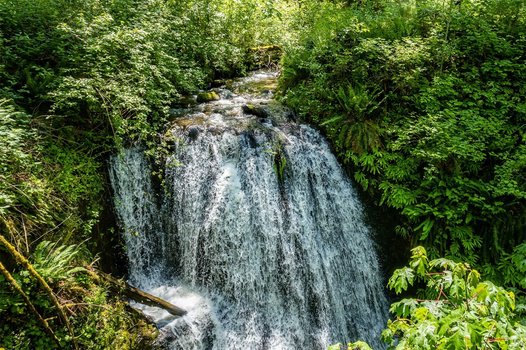 21632 High Rock Road Monroe, WA 98272 - Photo 27 of 40