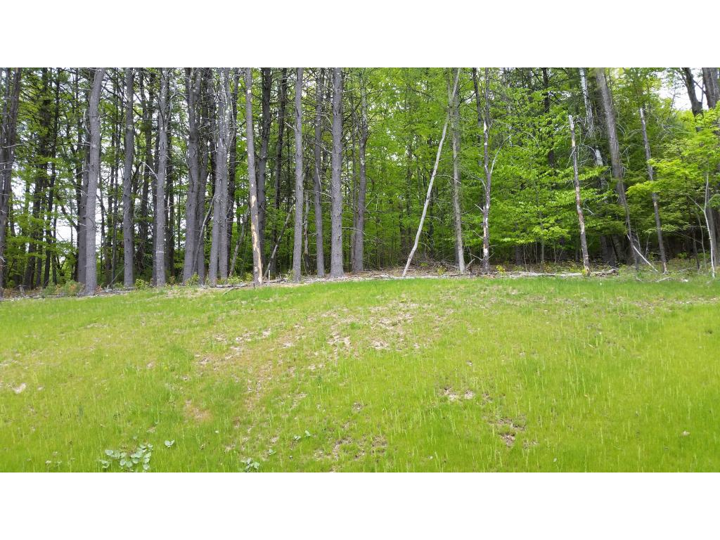 99-1 Pulpit Road, Unit 1 Bedford, NH 03110 - Photo 24 of 25 Gallery Image 24