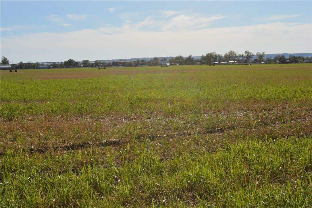 Tbd Shepherd Road Shepherd, MT 59079 - Photo 3 of 24 Gallery Image 3