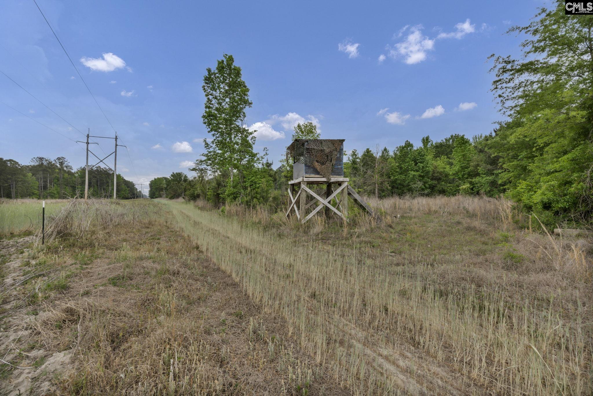 1244 Weston Road Hopkins, SC 29061 - Photo 66 of 67