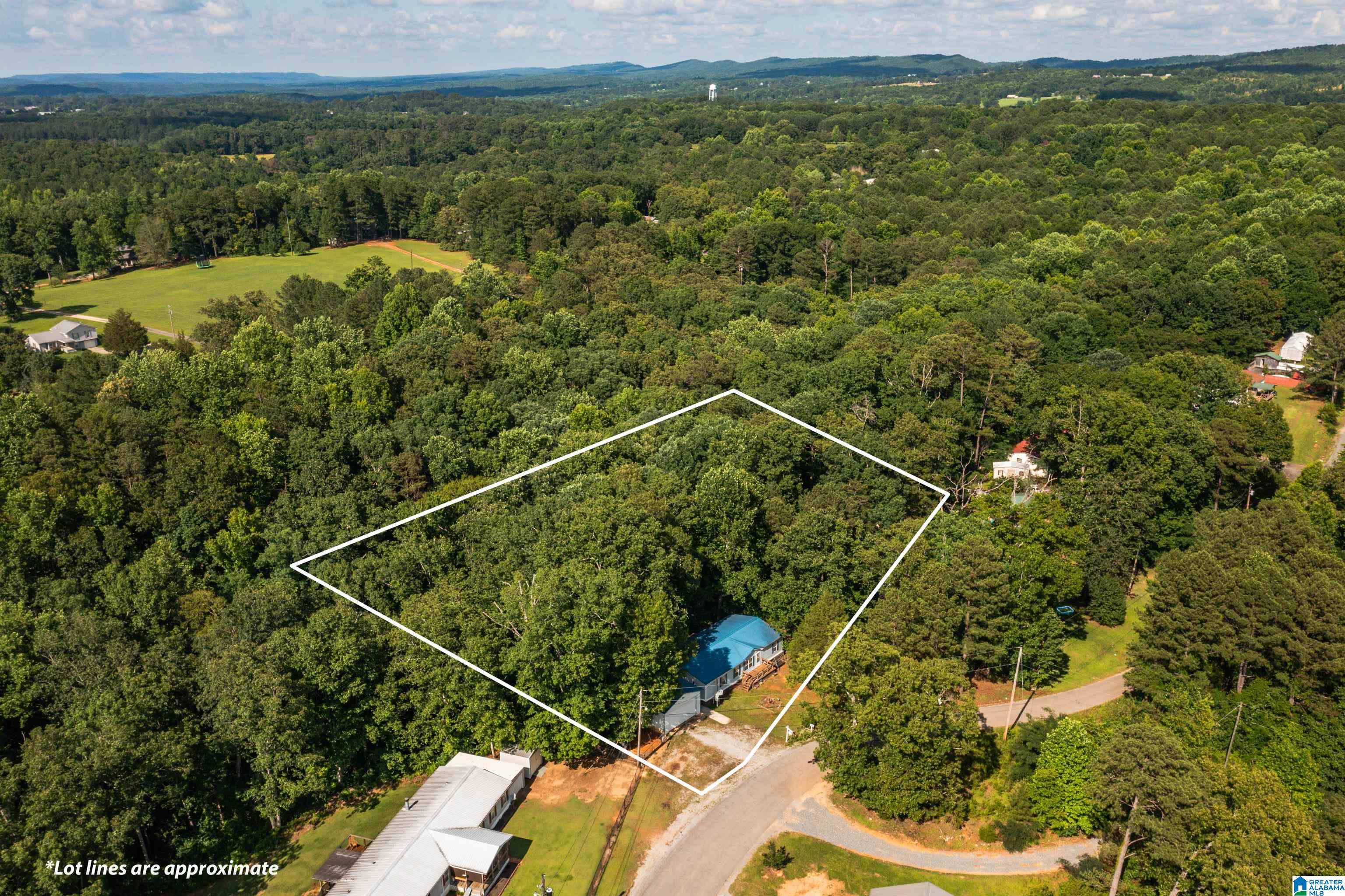 650 Davidson Drive Locust Fork, AL 35097 - Photo 4 of 55