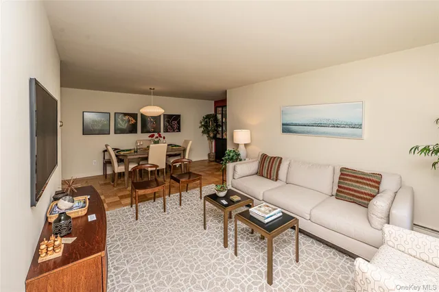 a living room with furniture a rug and a window