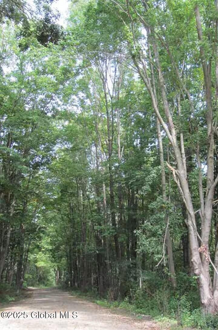 246 Ryan Road Greenwich, NY 12834 - Photo 8 of 47 ryan driveway