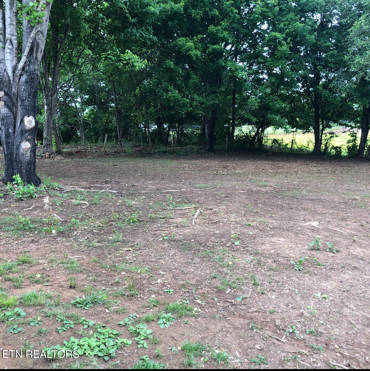 7521 East Emory Road Corryton, TN 37721 - Photo 5 of 13 IMG_6583