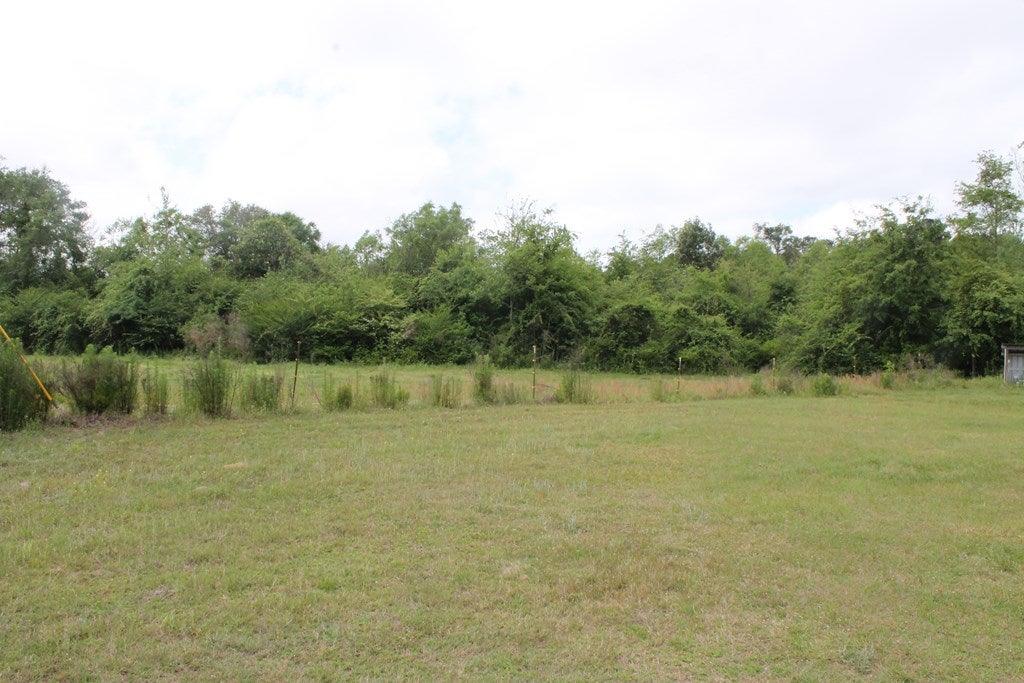 751 Carters Mill Road Barney, GA 31625 - Photo 5 of 11 Gallery Image 5