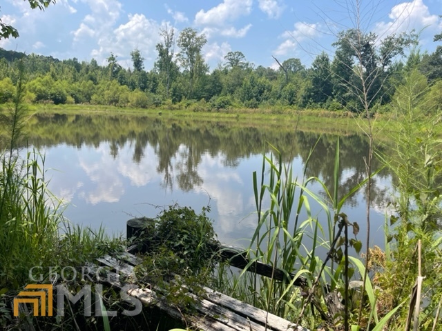 260 Powell Church Road, Unit 50 ACRES Talbotton, GA 31827 - Photo 1 of 1 Gallery Image 1