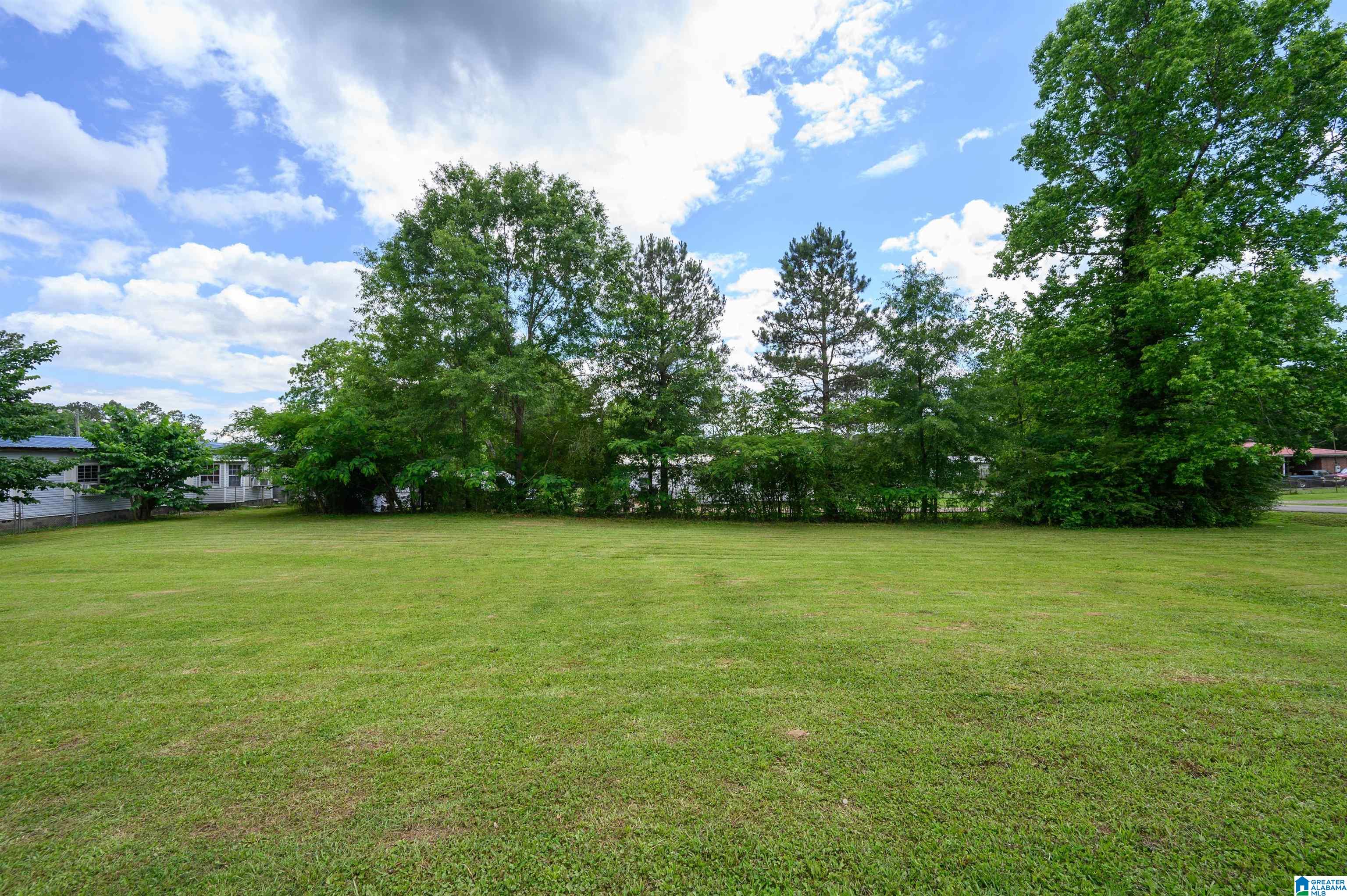 92 Countryview Circle Dora, AL 35062 - Photo 38 of 40