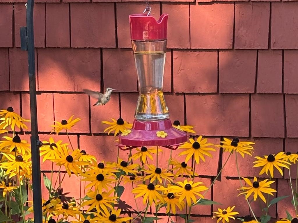 14 Colonial Square, Unit 14 Peterborough, NH 03458 - Photo 45 of 45